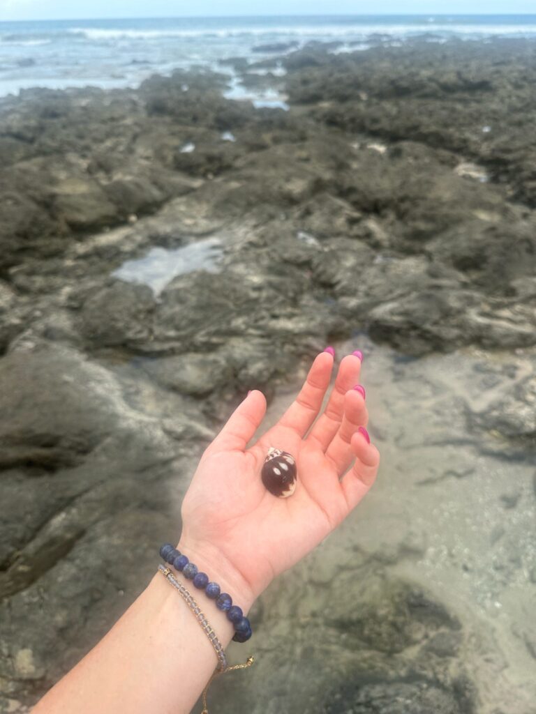 EI8p7sYGXnqMnLTjwVIOOQ==.full