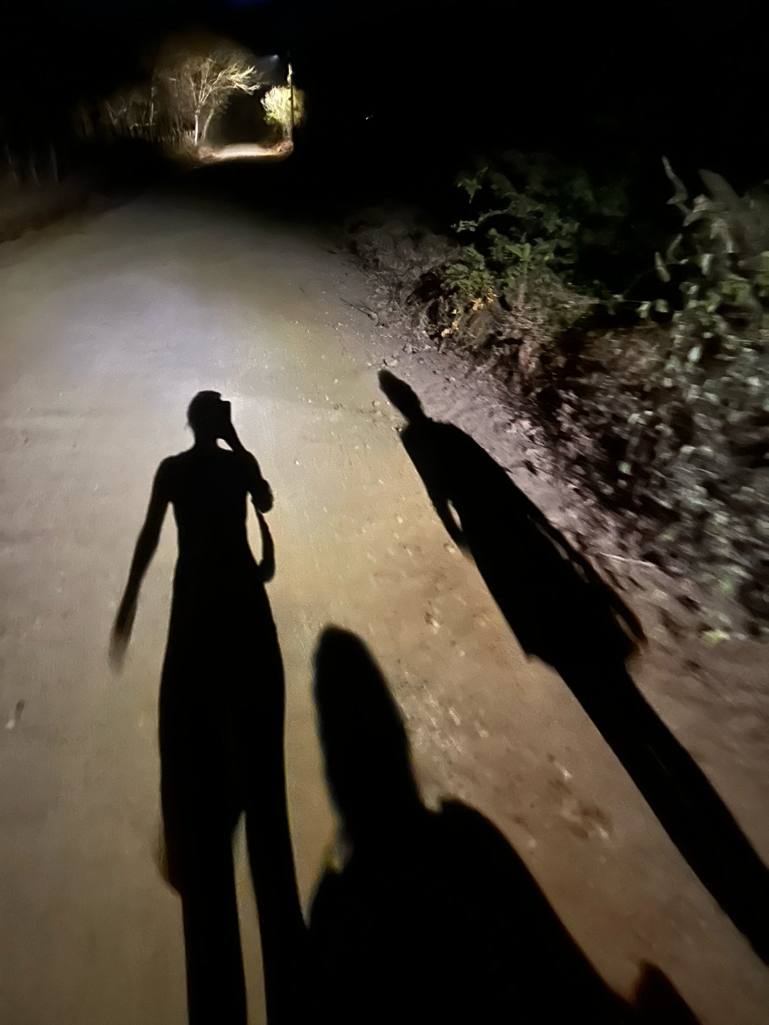 vhl--K4JACTX36ee55HAbg==.full